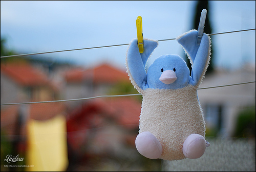 Stux, a cute penguin. Few realize he's not Free